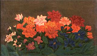 Pink Flowers