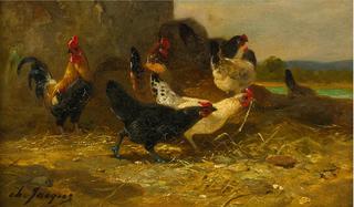 Hens and Roosters