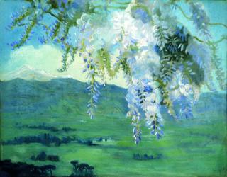 Wisteria