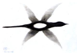 Magpie in Flight