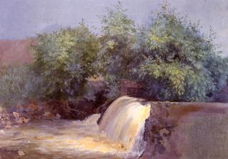 Estudio de cascada