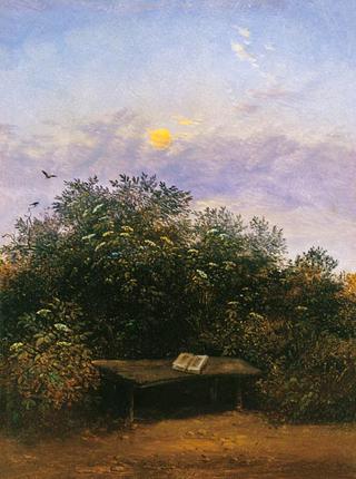Late Afternoon Study with a Book on a Table