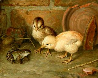 You Are No Chicken