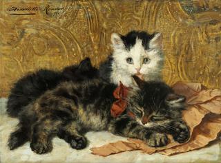 drei kittens