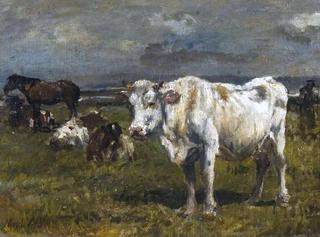 Cattle in a Landscape