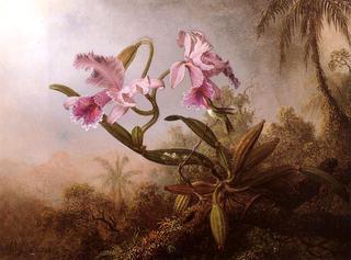 Orchids and Hummingbird