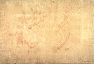 Studies of a Child