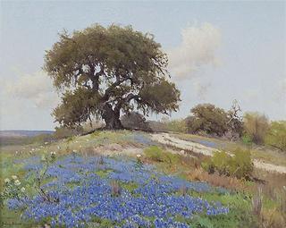 Blue Bonnet Time in Hill Country