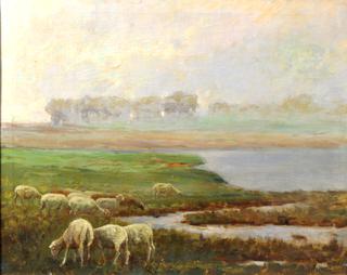Sheep Grazing
