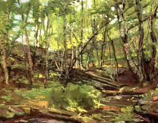 Creek Woods, Connecticut
