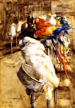 The Aviary, Clifton