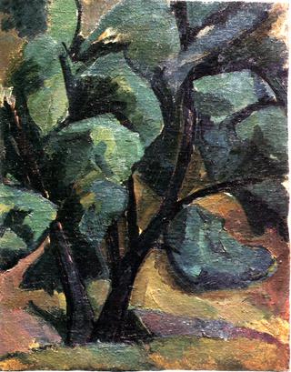 Trees