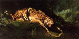 A Tiger Struggling with a Snake