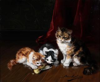 kittens