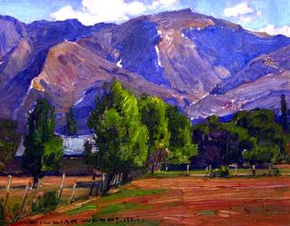 Meadow and Hills