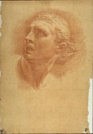 Head of a Man
