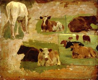 Study of Cattle