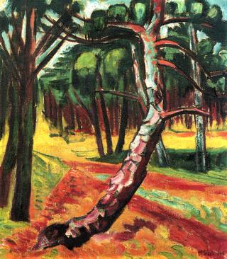 Forest, Nidda