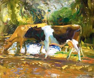 Cattle Watering in a Stream, Zennor, Cornwall