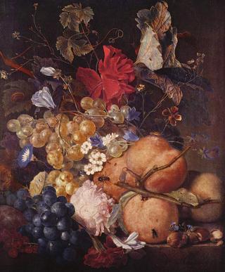 水果、花卉和昆虫