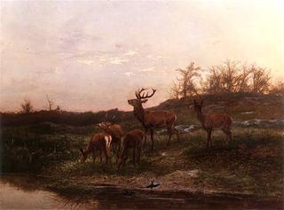 At the Watering Hole
