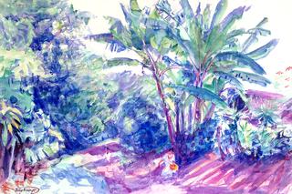 Blue Shadows, Indian Village