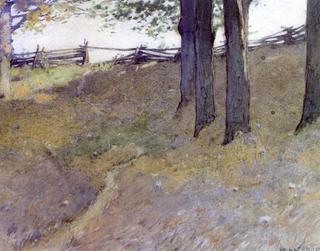 Trees on a Hillside