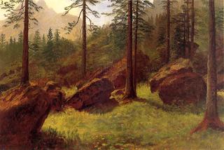 Wooded Landscape