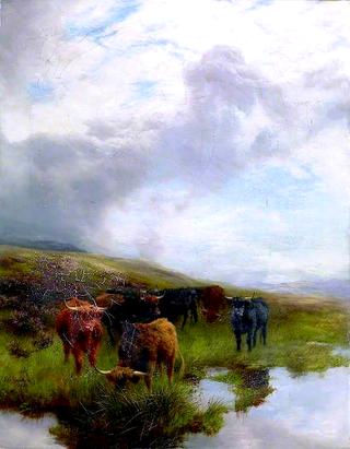 On the Moors