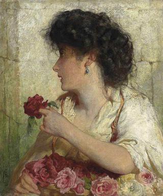 A Summer Rose
