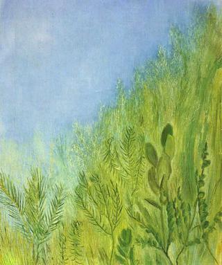 Grass and Sky