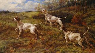 Hunting in the Fall - Three Pointers