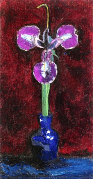 Iris