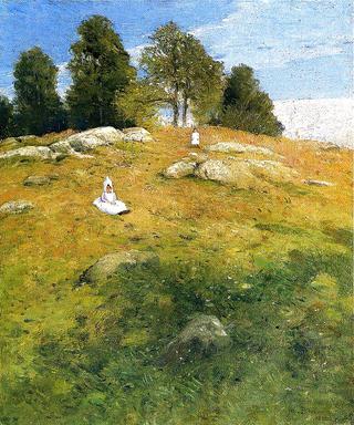 Summer Afternoon, Shinnecock Landscape