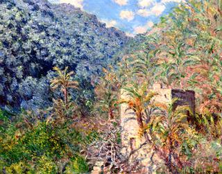 Olive Trees and Palm Trees, Sasso Valley