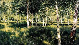 Birch grove