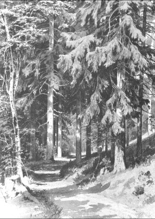 Path in a Forest