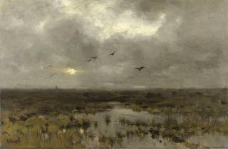 The Marsh