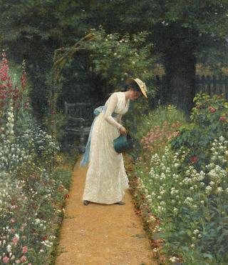 My Lady's Garden