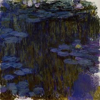 Water-Lilies
