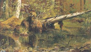 Forest (etude)