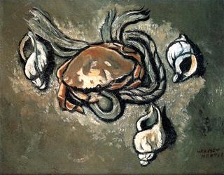 Crab, Rope, Seashells