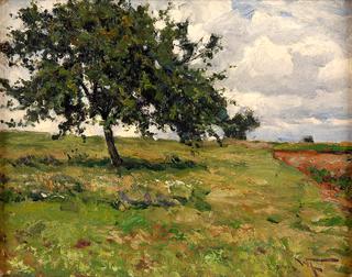 Summer Landscape
