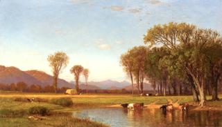 Summer Afternoon in the Meadows