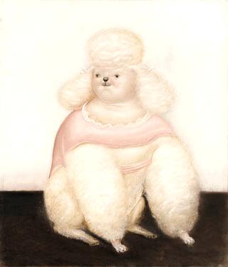 French Poodle