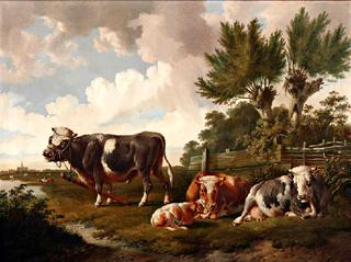Bull with resting cows and calf at a fence