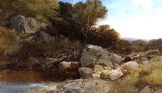 A Welsh Stream