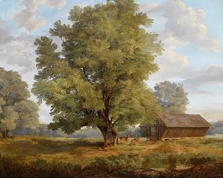 Deer in the Praterau