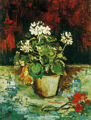 Geranium in a Flowerpot