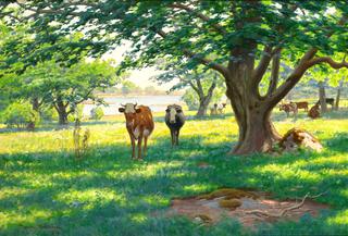Cows in Summer